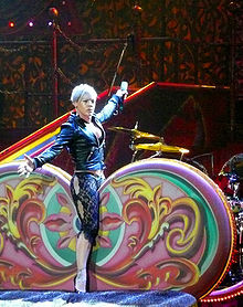 nk performing during the Funhouse Tour in November 2009.