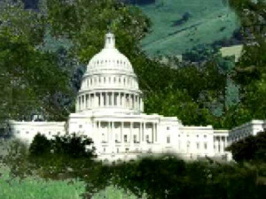 Legislative Branch Government