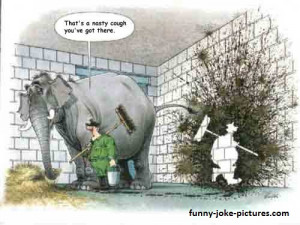 Funny Old Favourite Silly Elephant Jokes Cartoon