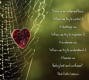 Apology Quotes Credited