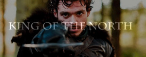 queen-elizabeth-of-the-insane:Robb Stark: King of the North of my ...