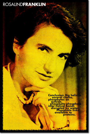 Details about ROSALIND FRANKLIN ART QUOTE PRINT PHOTO POSTER GIFT DNA ...