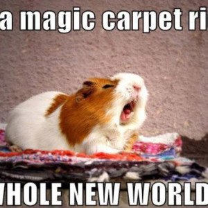 On a magic carpet ride... A whole new world... Haha after seeing this ...