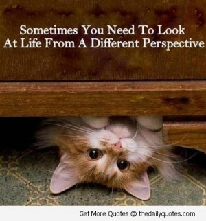 cute-pictures-of-animals-with-sayings-i6.jpg