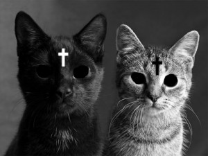 View image source Report this entry