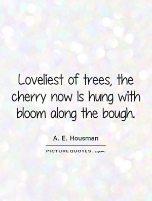 Cherry Blossom Tattoo Quotes