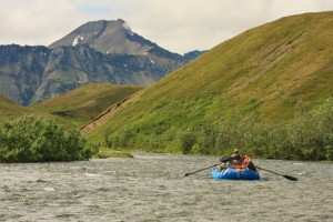Related to Fly Fishing And Float Trips To Copper River Alaska
