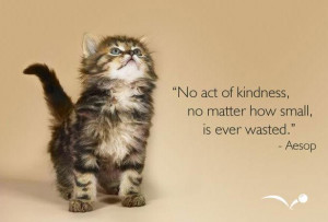No-act-of-kindness-no-matther-how-small-is-ever-wasted-Meaningful ...