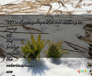 It's a slippery slope . I'm not willing to jump off the bridge unless ...