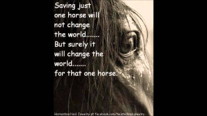Horses Quotes And Sayings