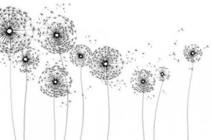 cute, dandelion, drawn, flowers, illustration