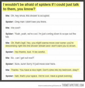 If only spiders could talk…