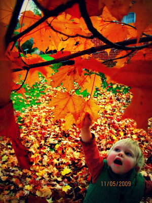 Autumn, the year’s last, loveliest smile.
