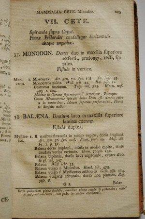 Page 105 of Systema Naturae, 13th edition (1767), printed in Vienna.