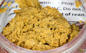 Bubba Kush Shatter Concentrate