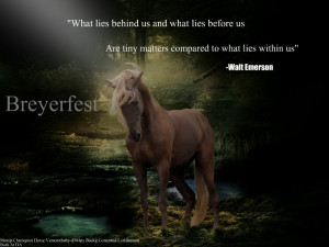 Quote horse manip by newfondland