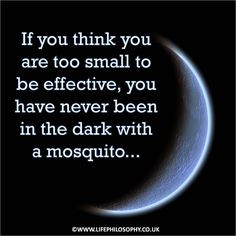 Life Quote - Life Philosophy #quote #effective #mosquito