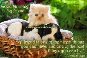 for friends, GM quotes for sweet friends,Beautiful Good Morning Friend ...