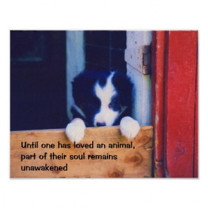 Cute Puppy Animals Inspirational Quote Posters