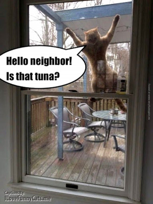 Tags: Cat , Neighbor , Neighbors , Tuna