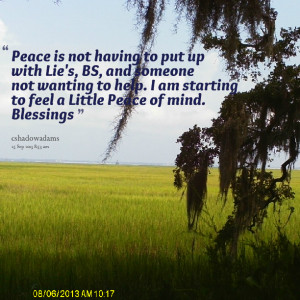 Quotes Picture: peace is not having to put up with lie's, bs, and ...