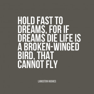 Life Is A Broken Winged Bird That Cannot Fly” Langston Hughes