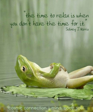 The time to relax is when you don't have the time for it. (via ...
