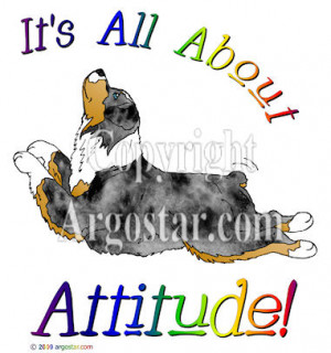 Australian Shepherd It's All About Attitude - Blue Merle