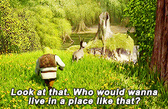 Shrek and Donkey Quotes
