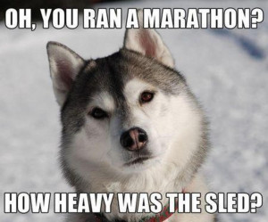Oh, you ran a marathon?How heavy was the sled? Funny Marathon Quote