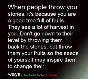 Don't throw the stones back...