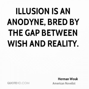 Illusion is an anodyne, bred by the gap between wish and reality.