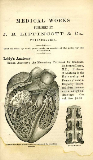 Medical book ads from the publisher in the front and back of this ...