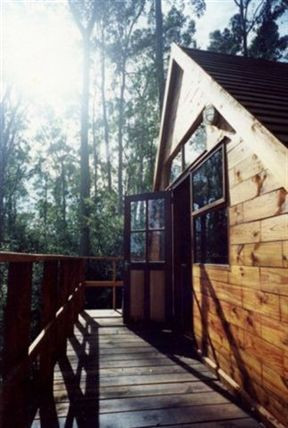 Fern Gully Forest Cabins image5
