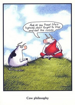 Cow Is a Cow Is a Cow ...