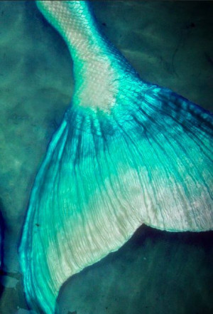 Mermaid tail. Pretty!