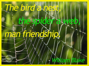 The Bird a nest, The Spider a web, man friendship ~ Friendship Quote