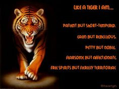 ... tigers shorts temperance quotes tigers quotes tigers bi image quotes