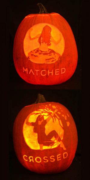 download crossed by ally condie