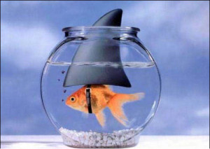 ... Quotes on Being Great Quotes on Courage Quotes on Dreams Quotes on