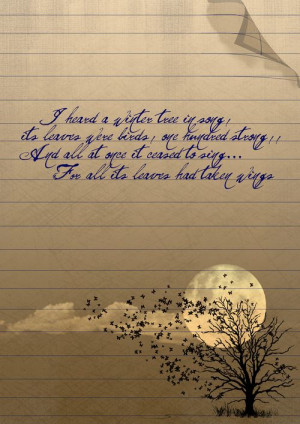 Finding Neverland Quotes