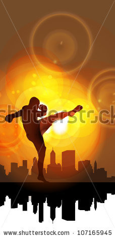 Kyokushin Karate Logo Wallpaper Picture
