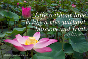 Life without love is like a tree without blossom and fruit.