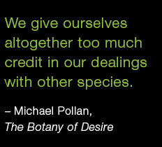 Memorial Day Quotes Clip Art