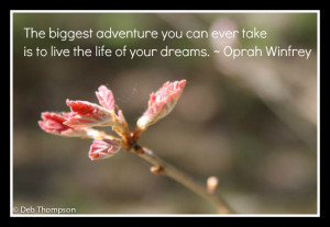 ... adventure, quote, words, dreams, winfrey, oprah, inspirational quote