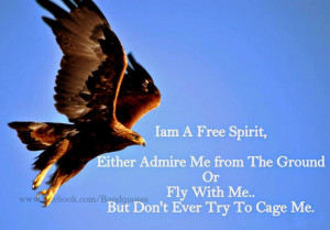 AM A FREE SPIRIT,EITHER ADMIRE ME FROM THE GROUND OR FLY WITH ME ...