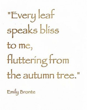 More like this: autumn trees , thanksgiving cards and autumn falls .