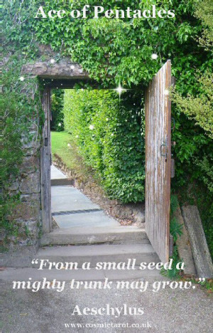 Cosmic Faery S Tarot Of The Vampyres Llewellyn 2010it Full Picture