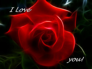 rose i love you roses for you i love you contents i love you roses ...