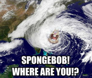 Return to Funny Hurricane Sandy Pictures – 18 Pics